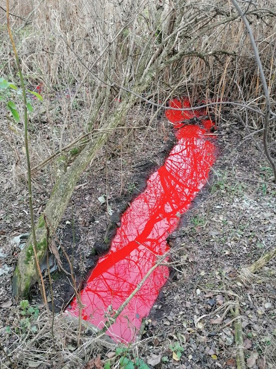 Piros színű víz ömlik a Bácskai Nagycsatornába