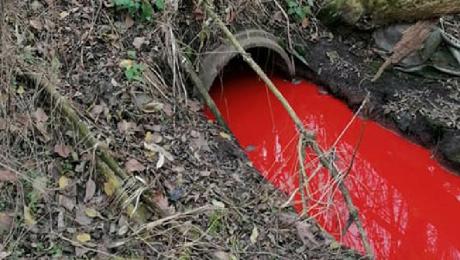 Piros színű víz ömlik a Bácskai Nagycsatornába